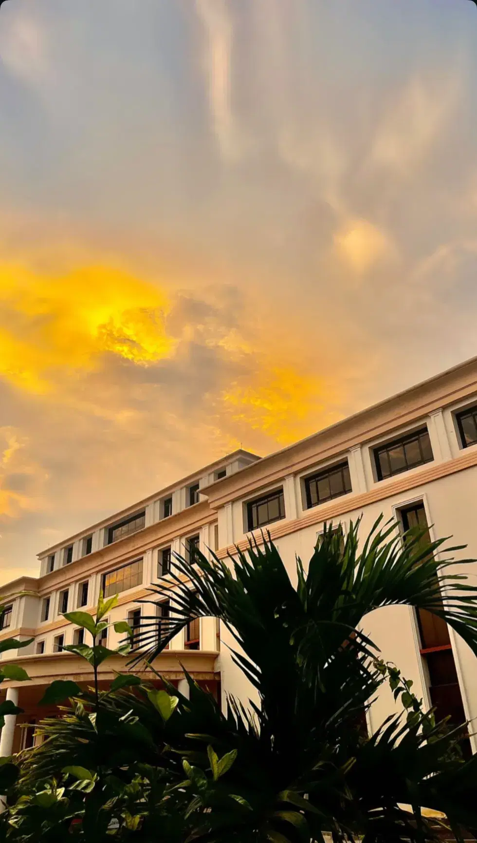 VIT AP Campus photo 33